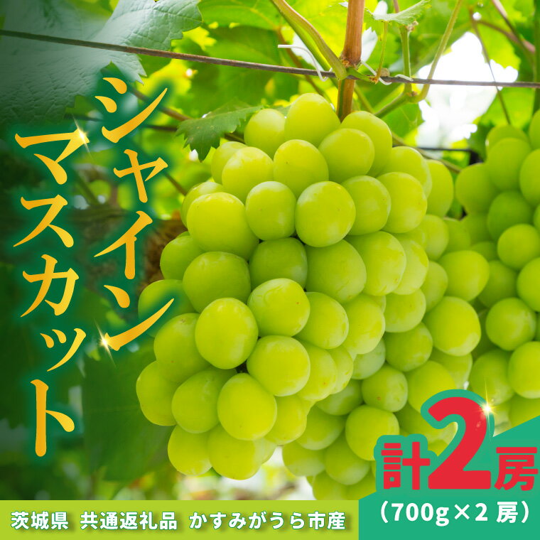 【ふるさと納税】シャインマスカット700g×2房【配送不可地域：離島・沖縄県】 (BR180)