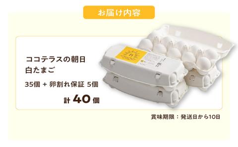 ココテラスの朝日（白たまご）35個 + 5個保証（計40個）