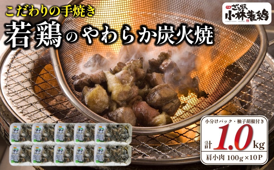 
            【テレビで紹介！元祖ざる焼き小林養鶏】やわらか炭火焼100g×10Pセット 薬味付き（国産 鶏 鶏肉  小分け 炭火焼き  惣菜 調理済 冷凍 宮崎 小林市）
          