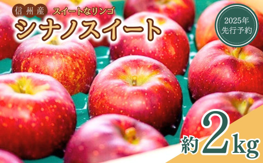 【2025年先行予約】スイートなりんご シナノスイート 約2kg｜ 林檎 信州りんご 千曲市 長野県 