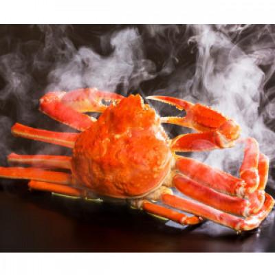 ふるさと納税 若桜町 『鳥取の冬の味覚の王者』(ボイル)松葉がに　2枚　【2026年1月以降順次発送】 |  | 01