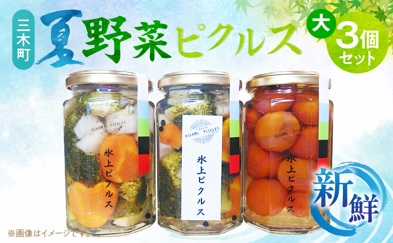 
            新鮮！三木町夏野菜ピクルス 大(290g)3個セット_mk163-002
          