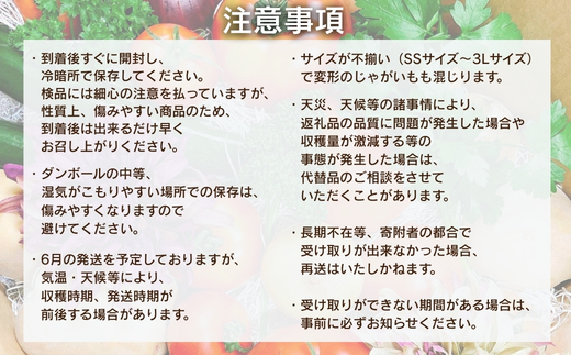 【令和8年度産じゃがいも先行予約】じゃがいも 2.5kg ※6月より発送予定 ニシユタカ ジャガイモ ポテト 馬鈴薯 カレー シチュー 肉じゃが スープ サラダ ポタージュ ポテトサラダ フライドポテ