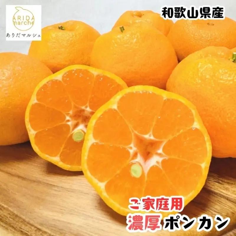 【先行予約】【極甘柑橘】有田育ちの 濃厚 ポンカン（訳あり 家庭用）約5kg+200g(傷み補償分) ※2027年1月上旬～3月上旬に順次発送予定 ※着日指定不可【ard077C】