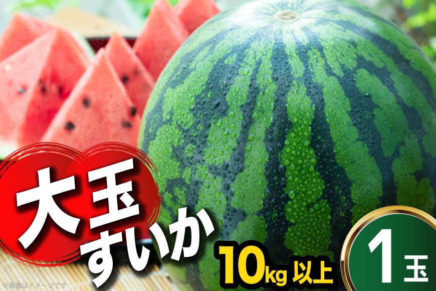 BJ635 【令和9年度出荷分】 スイカ 大玉スイカ 4Lサイズ（10kg以上） [ フルーツ 果物 西瓜 大玉 大きい 2L 3L まるき農園 長崎県 島原市 ]