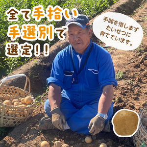 【予約:2026年2月上旬から順次発送】【選べる3サイズ】宇野さんの手拾い、手選別の越冬ジャガイモ 10kg ( 芋 野菜 選べる )【167-0004-2026】