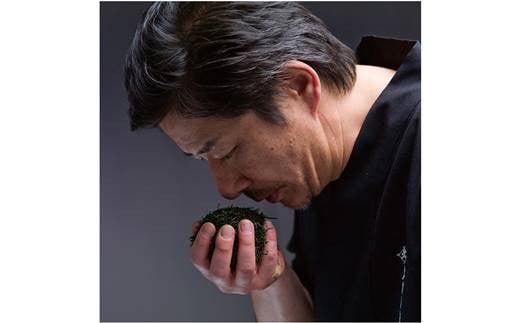 綾鷹 2.0L ペットボトル　６本セット 【444】