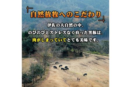 A7-07 鹿児島県産！沖田黒豚骨付きフランクソーセージ(計1.5kg・500g×3パック) 1本100gもある黒豚肉をふんだんに使用した粗挽きフランクフルト！【沖田黒豚牧場】