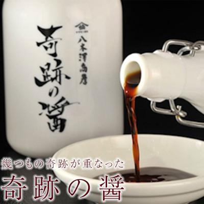 ふるさと納税 陸前高田市 濃口 醤油 奇跡の醤(ひしお) 500ml×1本 【八木澤商店】