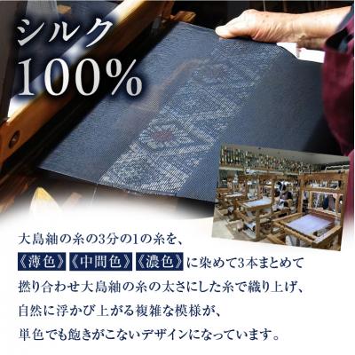 ふるさと納税 鹿児島市 CHANCE(シャンス)大島紬ストール(2)ブルー　K054-001_2 |  | 01