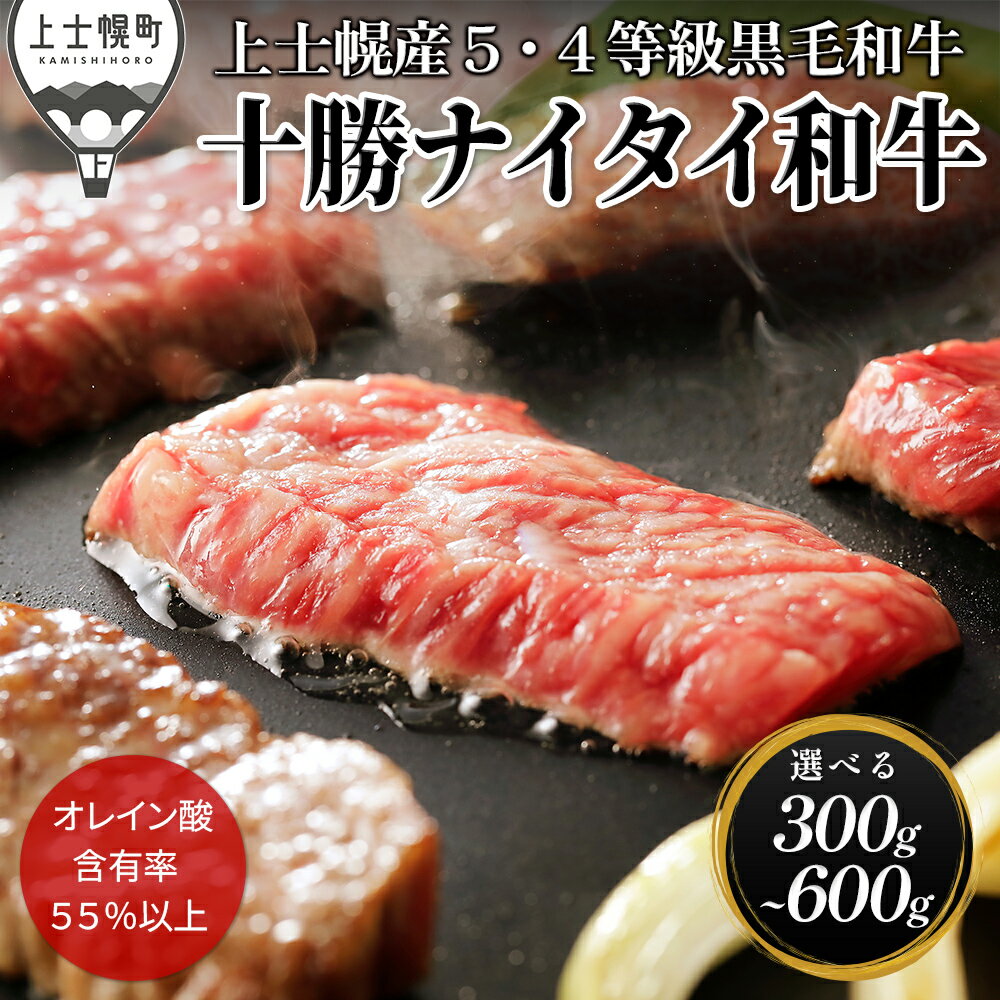 【ふるさと納税】十勝ナイタイ和牛 焼肉 選べる 300g～600g 焼肉用 国産 北海道 牛 肉 牛肉 和牛 5・4等級 黒毛和牛 オレイン酸含有率55%以上 冷凍 発送時期が選べる