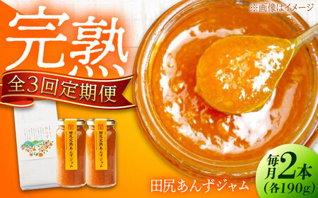 【全3回定期便】田尻完熟あんずジャム (2本)[BAFL012]ジャム