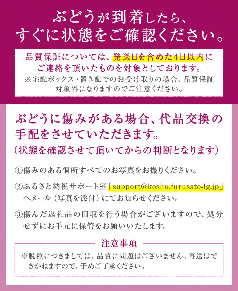 【定期便】甲州市自慢の大粒葡萄3種セット“シャインマスカット”“種無しピオーネ”“種無し巨峰” 自然農法【2024年発送】（BNC）J1-101