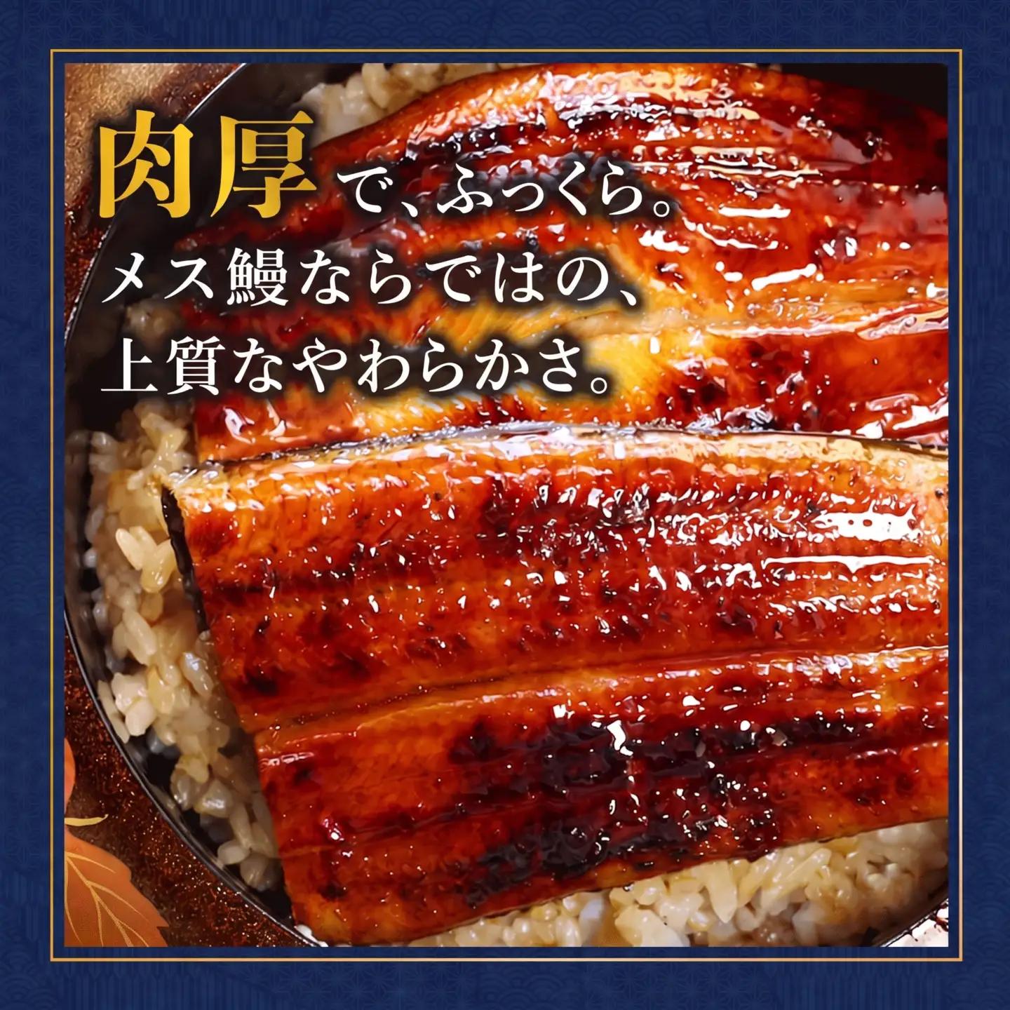 浜名湖ブランド「でしこ」うなぎ蒲焼 1尾