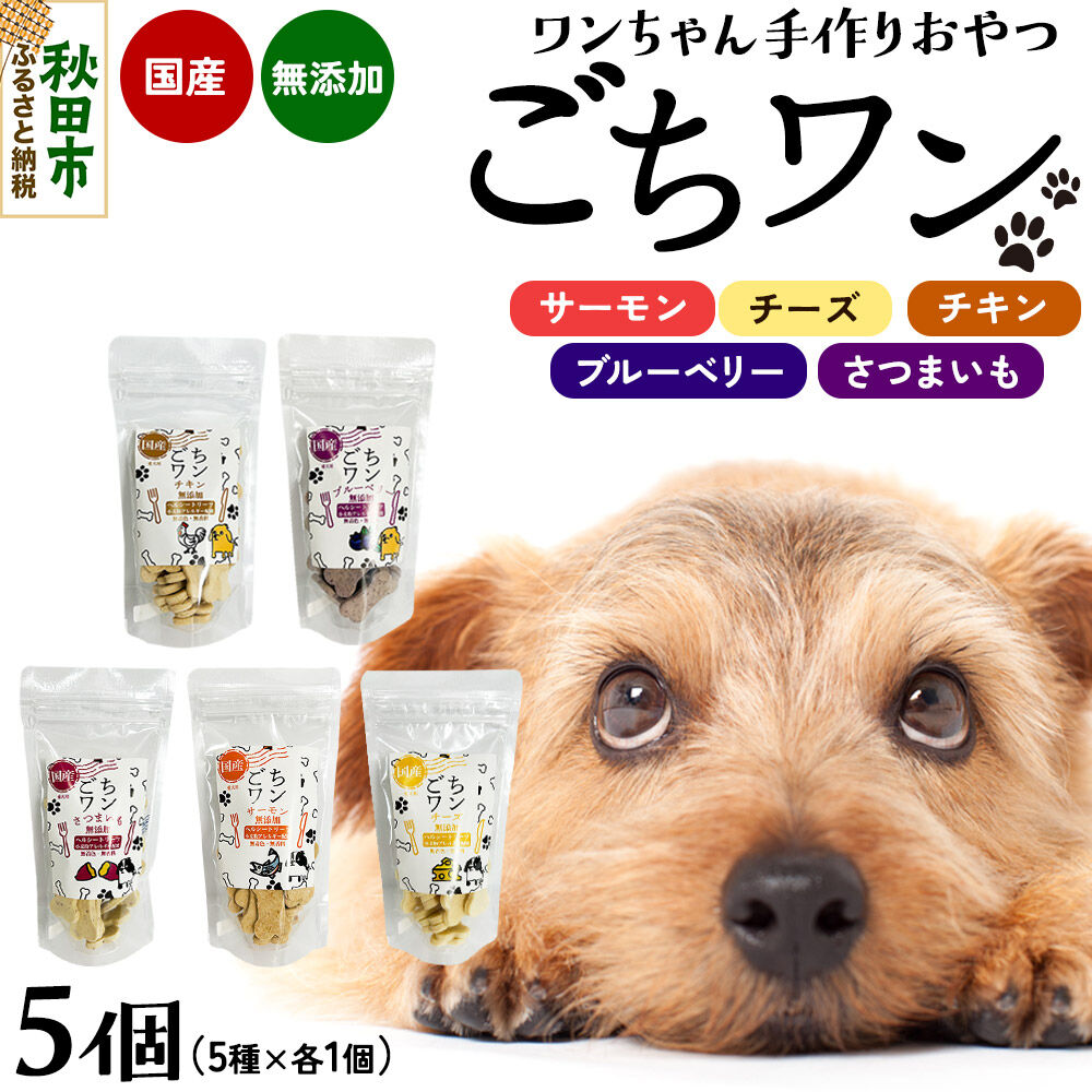わんちゃん手づくりおやつ「ごちワン」トリーツ5種セット（サーモン／チーズ／ブルーベリー／チキン／さつまいも）国産ヘルシートリーツ ドッグフード 無着色・無香料 [トリーツ 犬 犬のおやつ 国産 ペット用 ペットフード]