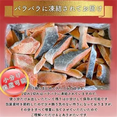 【訳あり】人気の海鮮お礼品 チリ産 定塩 塩銀鮭切り落とし(端材)約3kg_鮭 サケ さけ 訳あり おすすめ_【配送不可地域：離島】【1389616】