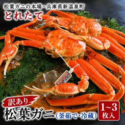 松葉ガニの本場・兵庫県新温泉町　とれたて　訳あり・松葉ガニ(釜茹で・冷蔵)　1～3枚入【配送不可地域：離島・北海道・沖縄県・東北】