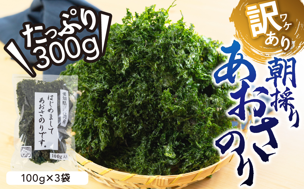 訳あり あおさ 300g 100g×3袋 簡易包装 愛知県 三河湾産 「はじめまして あおさのり です。」あおさ海苔 海苔 味噌汁 みそ汁 具 海藻類 アオサ 訳アリ 大容量 送料無料 国産 食品 田原市 12000円 人気 スピード発送 チョイス限定