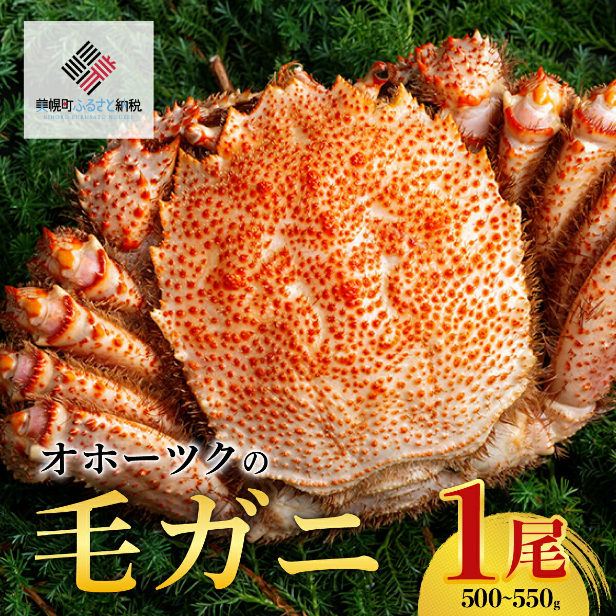 【ふるさと納税】オホーツクの毛ガニ　[500g～550g×1尾]【配送不可地域：離島】 かに カニ 蟹 毛ガニ 北海道 美幌町 送料無料 BHRI002