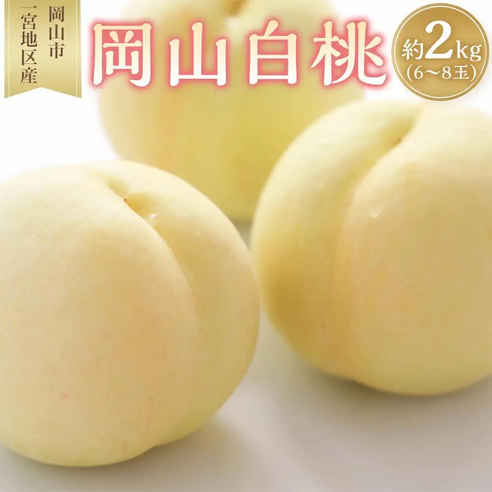 桃 2027年 岡山 白桃 6～8玉入 約2.0kg 岡山市一宮地区産 もも モモ フルーツ 果物 ギフト