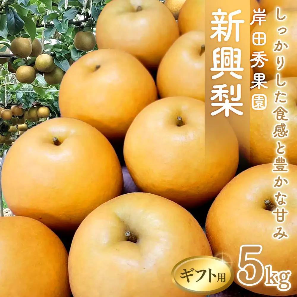 梨 岸田秀果園 新興梨 (ギフト用)5kg 10月頃お届け