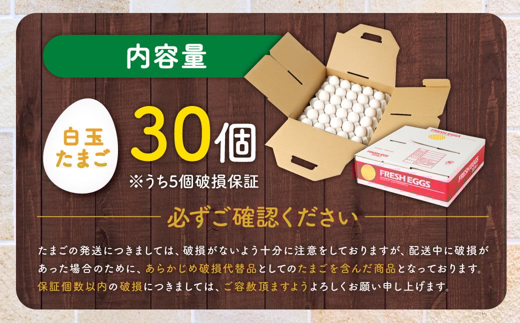 電子たまご（白玉） 30個