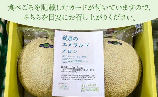 【ブランドメロン】エメラルドメロン 2玉（1.5kg～1.8kg×2個）- テレビ朝日「ザワつく!金曜日」で特集 紹介 送料無料 果物 くだもの フルーツ めろん 青肉 贈答用 贈り物 のし ご褒美 