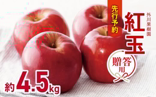 贈答用 紅玉 約4.5kg｜外川果樹園 リンゴ りんご 林檎 果物 フルーツ 果実 果汁 紅玉 こうぎょく ギフト 贈答用 長野県 松川村 信州