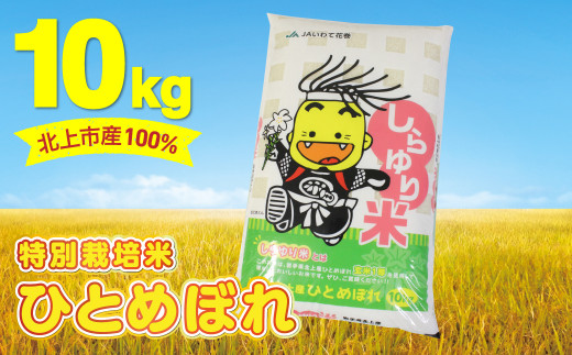 【 特別栽培米 】R7年産 北上市産 100％ しらゆり米 1等米 ( ひとめぼれ 10㎏ ) お米 米 白米 ご飯 国産 岩手県 北上市 G0234 JA産直 あぜみち