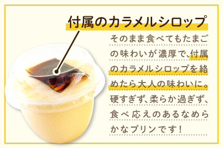 旭養鶏舎のプリン【プリン 30個 カラメルシロップ カラメル 美味しい 高鮮度 人気 たまご 卵 無添加 濃厚 とろける 極上 高品質 シンプル 素朴 飽きない ネッカエッグ プレゼント】