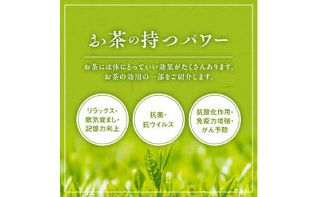 【6回定期便】宇治茶ペットボトル 500ml×24本 お茶ペットボトル