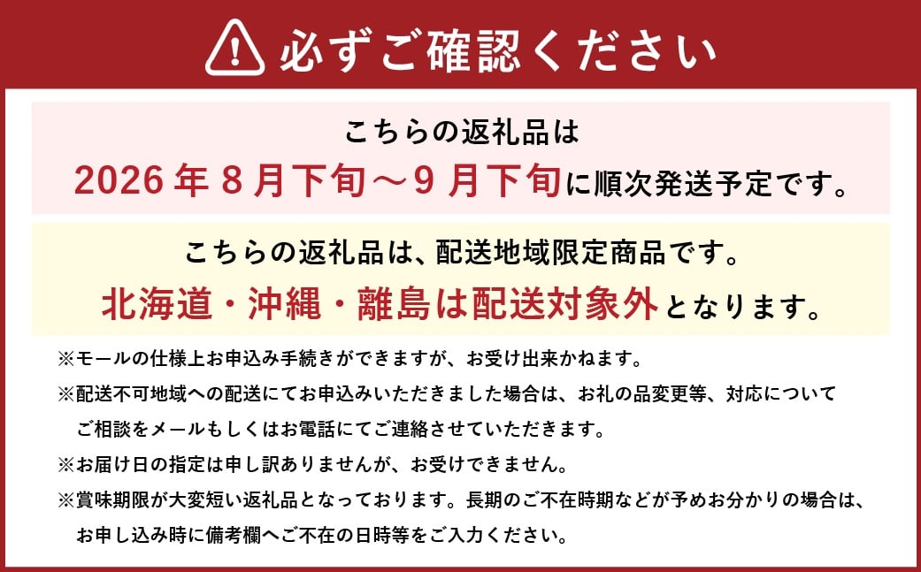 【2026年8月下旬～9月下旬発送予定】岡山県産 マスカット･オブ･アレキサンドリア 約1kg（500g×2房）