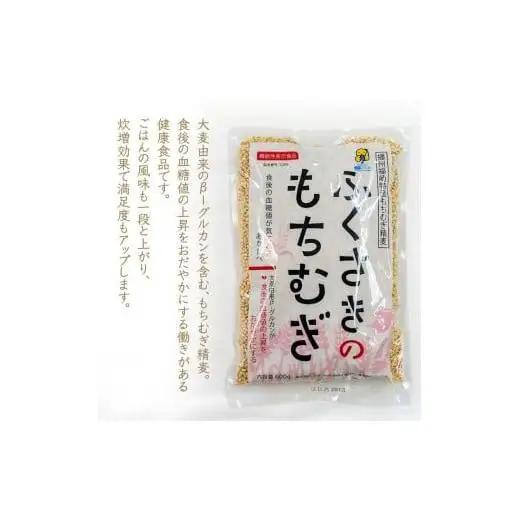 もちむぎ精麦2.4kg（600g×4袋）小分け もちむぎ 雑穀 五つ星ひょうご選定商品