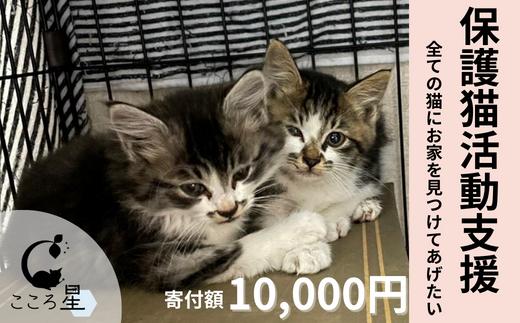 
【お礼の品なし】保護猫活動支援〜野良猫から地域で見守るさくら猫に〜 寄付額10,000円
