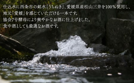 武田酒造「媛一会」泉水仕込み 純米吟醸【ＵＫ-７】1800ml　日本酒