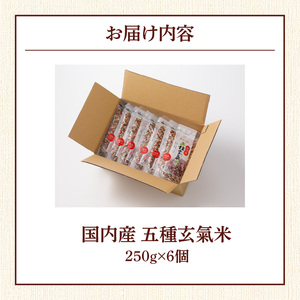 国内産 五種玄氣米 250g×6個 計1500g_国内産 五種玄氣米 250g×6個 お届け回数 1回 玄米 ブレンド 雑穀米 もち赤米 うるち玄米 もち玄米 もち黒米 もち緑米 プチプチ もちもち 