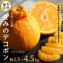 【ふるさと納税】甘みと旨味がぎゅっと詰まった逸品！越冬完熟「きみのデコ」(デコポンと同品種) 【選べる容量】約1.5kg / 約4.5kg(15~20個程度) サイズ混合 サイズ L以上 ご家庭用(秀優混合) / 果物 フルーツ みかん 柑橘 和歌山 おすすめ くだもの デコポン