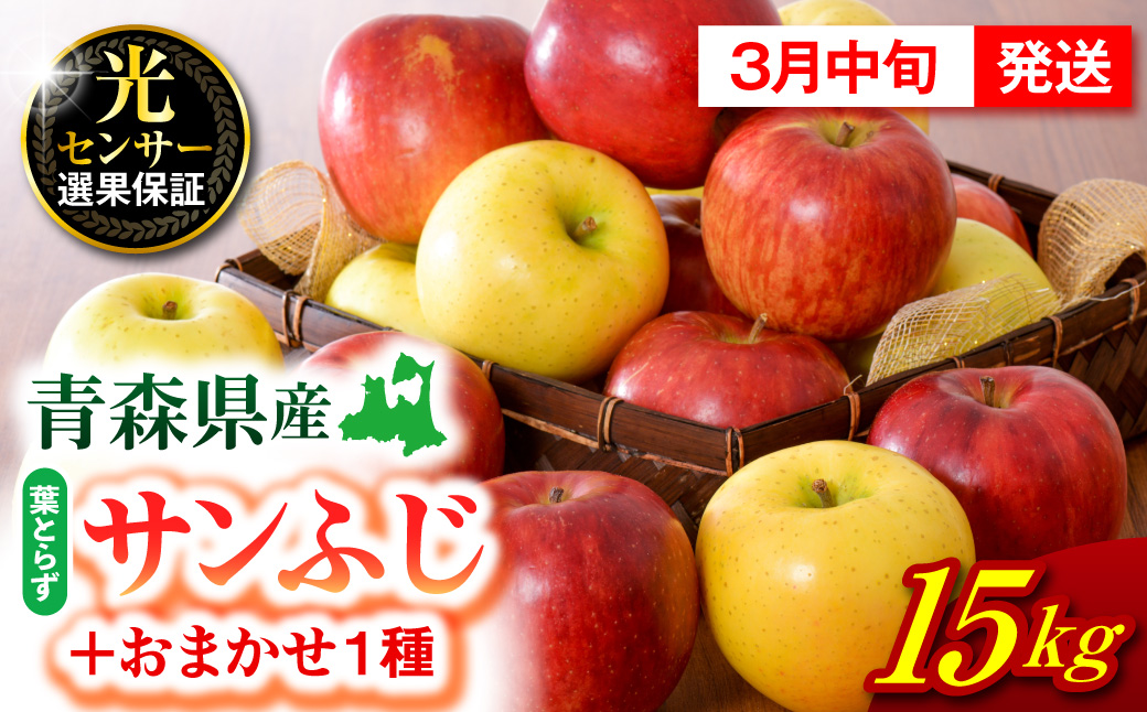 【2027年3月中旬発送】  りんご 15kg 詰め合わせ 計2種(葉とらず サンふじ と 他1種)