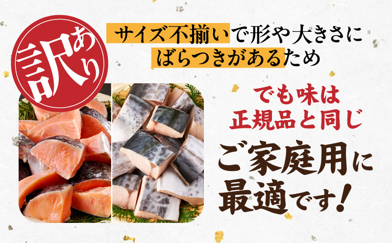 【お弁当サイズ】さわら&銀鮭 切身 計40切れ（各約50g×20切れ） 【小分け 漁師 さけ サケ 手切り  泉州 鰆 切り身 弁当 朝食 時短 訳あり サイズ不揃い 規格外 冷凍食品 】 G3802