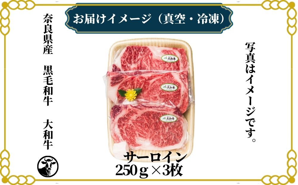 （冷凍） 大和牛 ステーキ サーロイン (250g×3枚) ／ 金井畜産 焼肉 キャンプ バーベキュー アウトドア 贈答 父の日 母の日 奈良県 宇陀市 お中元 贈答用 贈り物 暑中見舞い お土産 お