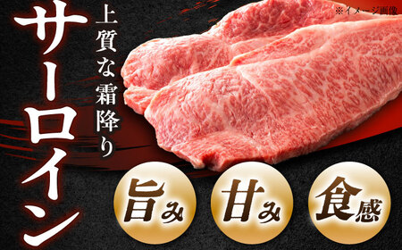 高知 黒毛和牛 ステーキ 約250g×2枚 / 高知 お肉 牛肉 牛 サーロイン 贈答 ギフト 贅沢 【焼肉寛十郎】[ATDO011]