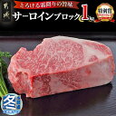 【ふるさと納税】【お歳暮】宮崎牛サーロインブロック1kg - サーロイン ブロック肉 1kg 牛肉 焼肉 ステーキ すき焼き サーロインステーキ ギフト 期間限定 送料無料 AF-2501-WG【宮崎県都城市は2年連続ふるさと納税日本一！】