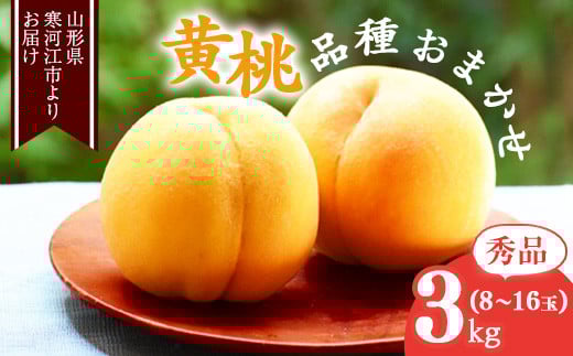 
            山形の黄桃 秀品 3kg（8 - 16玉） 品種おまかせ 秀品 山形県産【2025年8月中旬頃から9月下旬頃発送予定】2025年産 令和7年産　015-B-MM018
          