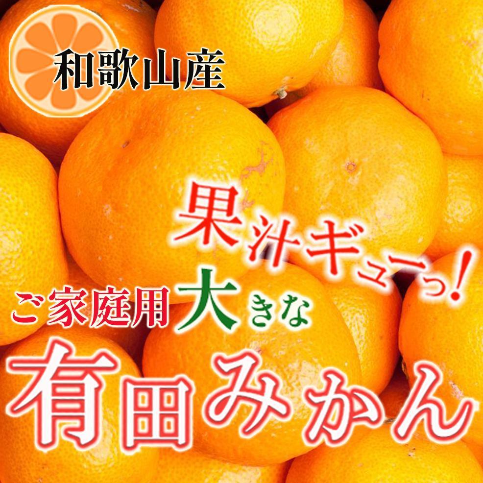 【ふるさと納税】家庭用 大きな有田みかん10kg+250g（傷み補償分）［2025年11月中旬から2026年1月下旬頃順次発送予定］［IKE243］