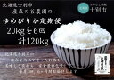 【ふるさと納税】（産直の谷農園）※定期便※　産地直送米「ゆめぴりか」（20kg×6ヵ月）