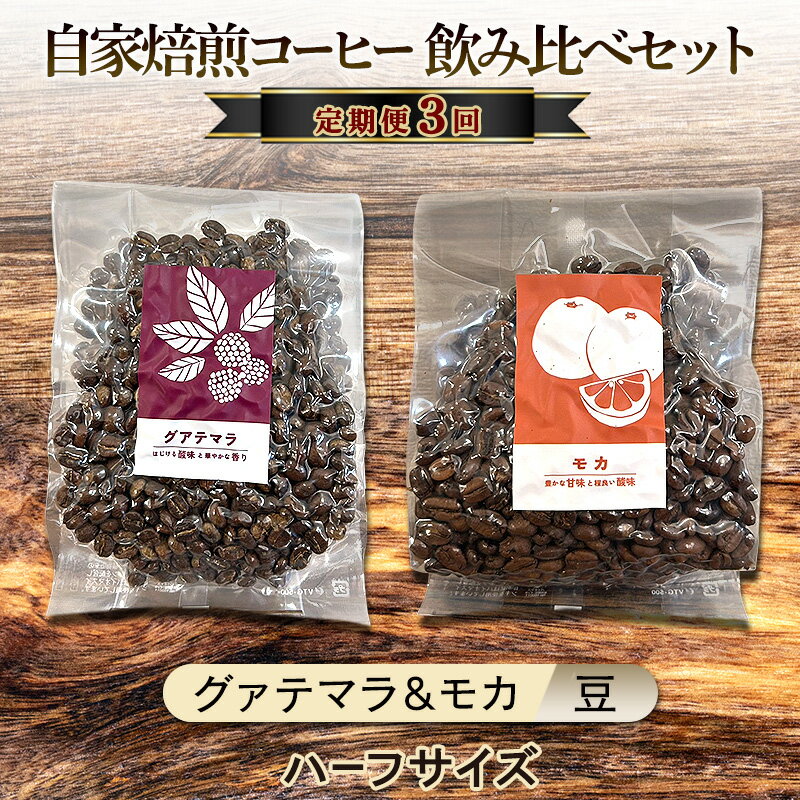 【ふるさと納税】【厳選2種の3ヶ月定期便】芳醇なフルーティー飲み比べセット・自家焙煎コーヒー (ハーフサイズ豆)(グァテマラ111g、モカ143g) 珈琲