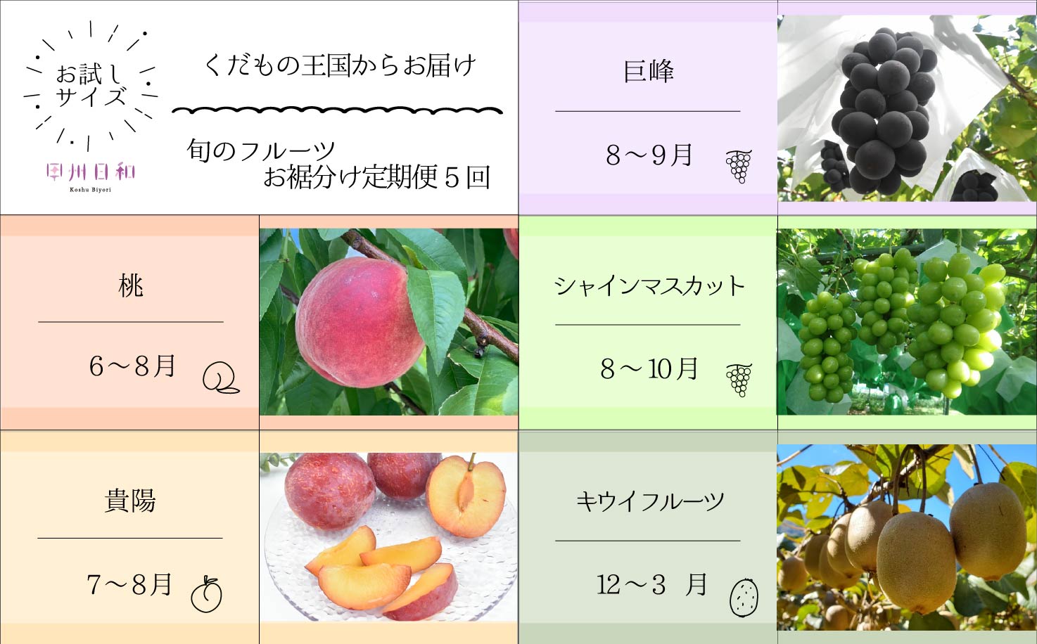 【ふるさと納税】 フルーツ 定期便 全5回 旬 果物 桃 もも 貴陽 巨峰 シャインマスカット キウイフルーツ もも 黒葡萄 ぶどう スモモ プラム 産地直送 お試しサイズ 数量限定 お裾分け ギフト 贈り物 贈答 フルーツ王国 山梨県 甲州市産 社員マスカット （KSB） 【E-109】