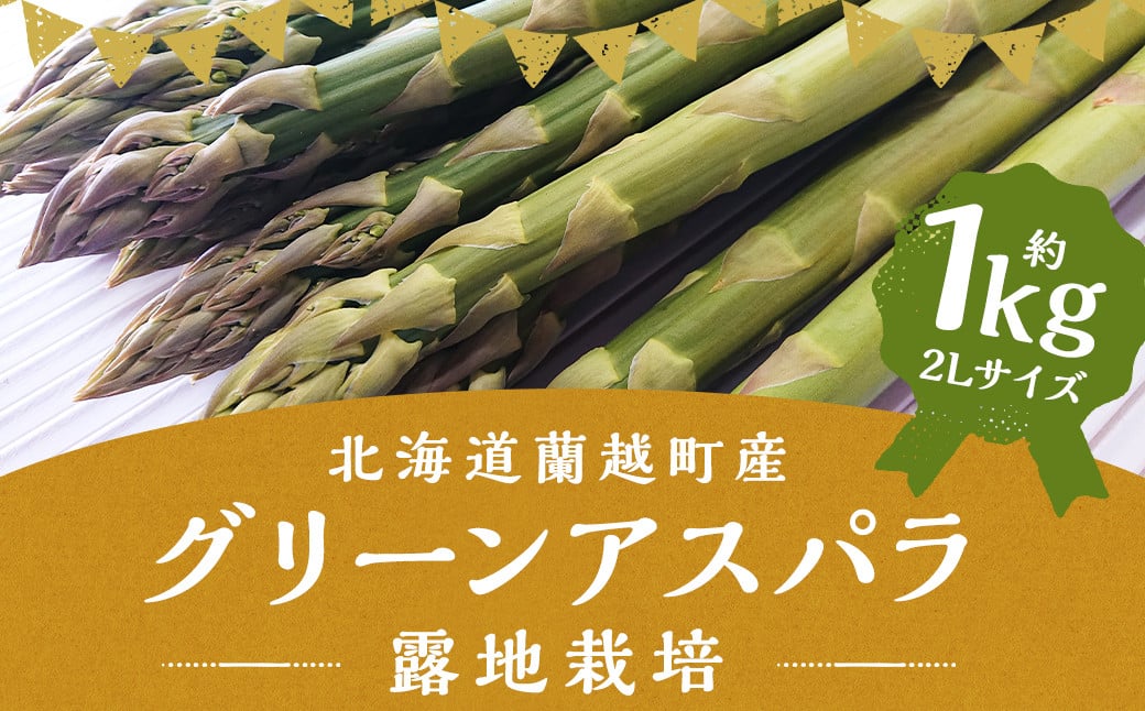 
            グリーンアスパラ 露地栽培 2L（約1kg相当）【2025年5月下旬～6月上旬発送予定】野菜 アスパラ アスパラガス やさい
          