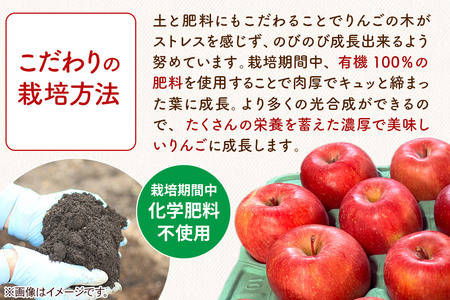 無添加 りんごジュース おまかせ3種 飲み比べ 1L×6本【葉とらずふじ・王林・シナノゴールド・トキ・ジョナゴールド・千雪・トキ×弘前ふじブレンドから3種】カワムラファーム