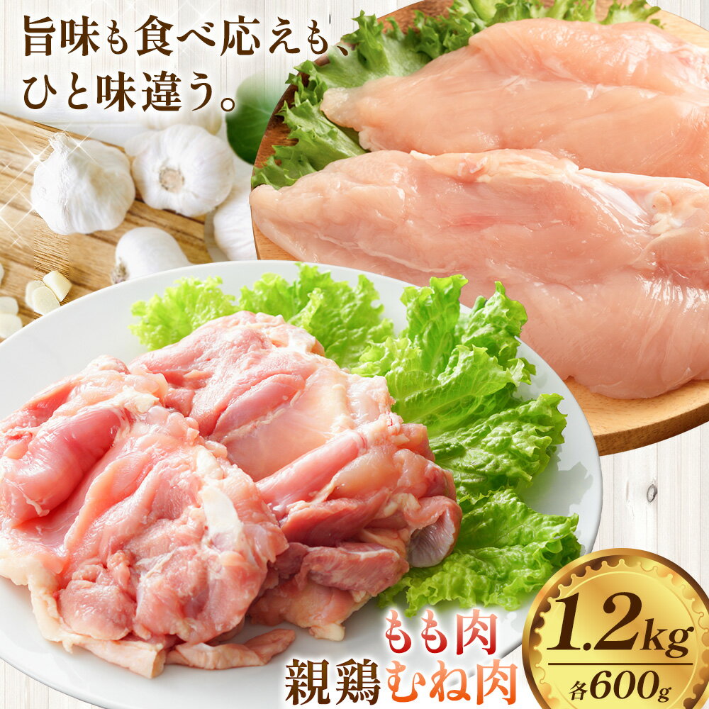 【ふるさと納税】国産 親鶏 もも肉 むね肉 セット 計1.2kg カット済《30日以内に出荷予定(土日祝除く)》 親鶏 親もも 親むね おやどり 親どり ひねどり ひね鳥 ひね鶏 もも モモ むね ムネ 鶏肉 とり肉 純鶏 純けい じゅんけい 焼肉 焼き肉 焼鳥 焼き鳥 やきとり 精肉 冷凍